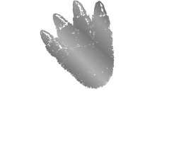 GODZILLA VIEW ROOM